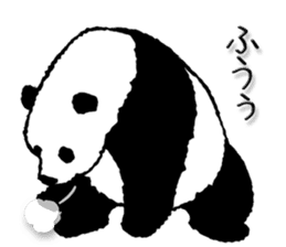 Pandan4.1 sticker #9011906