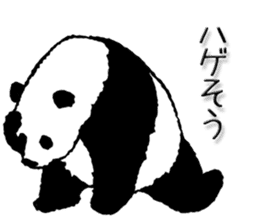 Pandan4.1 sticker #9011907