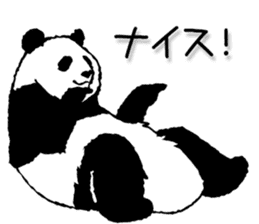 Pandan4.1 sticker #9011922