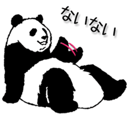 Pandan4.1 sticker #9011923