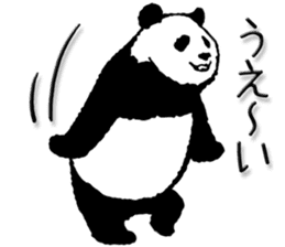 Pandan4.1 sticker #9011924