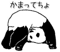 Pandan4.1 sticker #9011930