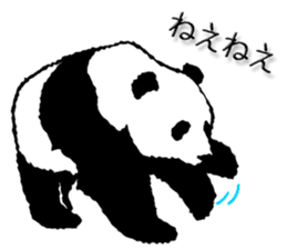 Pandan4.1 sticker #9011933