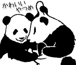 Pandan4.1 sticker #9011938