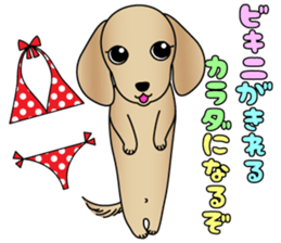 The Dachshund stickers 2 sticker #9015610