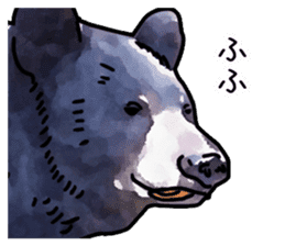 Watercolor bear sticker sticker #9016681