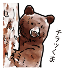 Watercolor bear sticker sticker #9016690