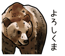 Watercolor bear sticker sticker #9016694