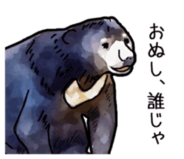 Watercolor bear sticker sticker #9016697