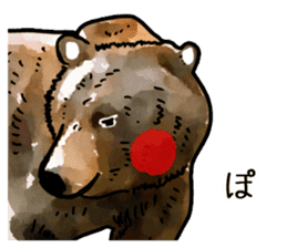 Watercolor bear sticker sticker #9016713