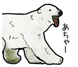 Watercolor bear sticker sticker #9016716