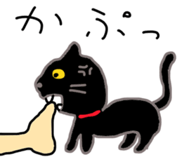 My cat's name is toshizo! sticker #9016859