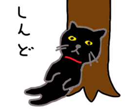My cat's name is toshizo! sticker #9016865