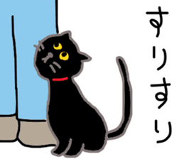 My cat's name is toshizo! sticker #9016873