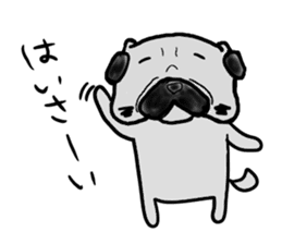 pug okinawa sticker #9019256