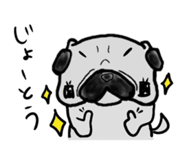 pug okinawa sticker #9019259