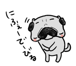 pug okinawa sticker #9019260