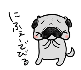 pug okinawa sticker #9019266