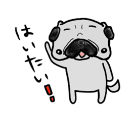 pug okinawa sticker #9019267