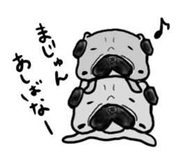 pug okinawa sticker #9019278