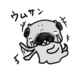 pug okinawa sticker #9019279