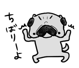 pug okinawa sticker #9019285