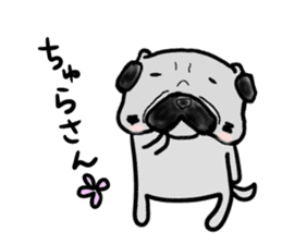 pug okinawa sticker #9019292