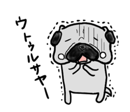 pug okinawa sticker #9019294