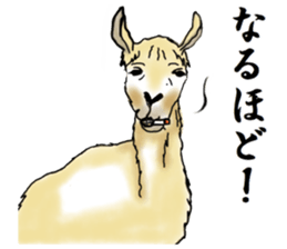 The sticker sent to the Hitomi sticker #9021036