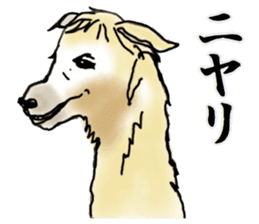 The sticker sent to the Hitomi sticker #9021037