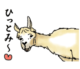 The sticker sent to the Hitomi sticker #9021051