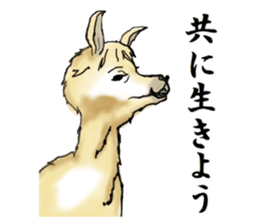 The sticker sent to the Hitomi sticker #9021057