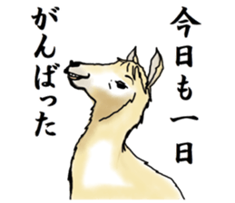 The sticker sent to the Hitomi sticker #9021062