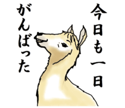 The sticker sent to the Hitomi sticker #9021062