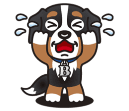 BEN the Bernese Mountain Dog sticker #9022158