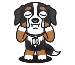 BEN the Bernese Mountain Dog sticker #9022159