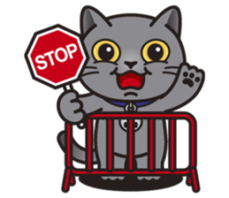 MIA the British Shorthair Cat sticker #9022486