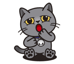 MIA the British Shorthair Cat sticker #9022502