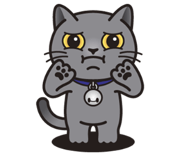 MIA the British Shorthair Cat sticker #9022506