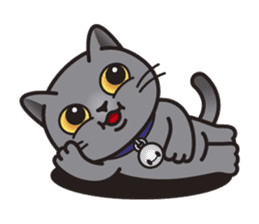 MIA the British Shorthair Cat sticker #9022510