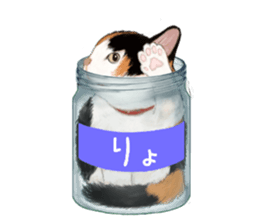 Bottle Cat sticker #9025642