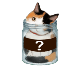 Bottle Cat sticker #9025644