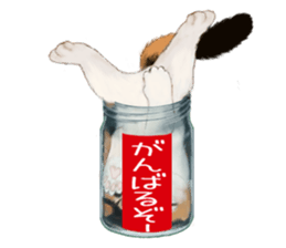 Bottle Cat sticker #9025646