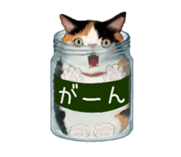 Bottle Cat sticker #9025647