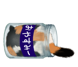 Bottle Cat sticker #9025650