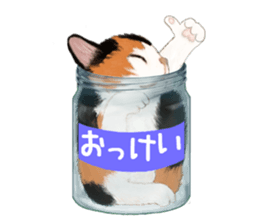 Bottle Cat sticker #9025654