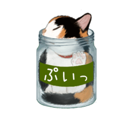 Bottle Cat sticker #9025655