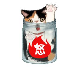 Bottle Cat sticker #9025656