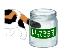 Bottle Cat sticker #9025657