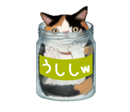Bottle Cat sticker #9025659